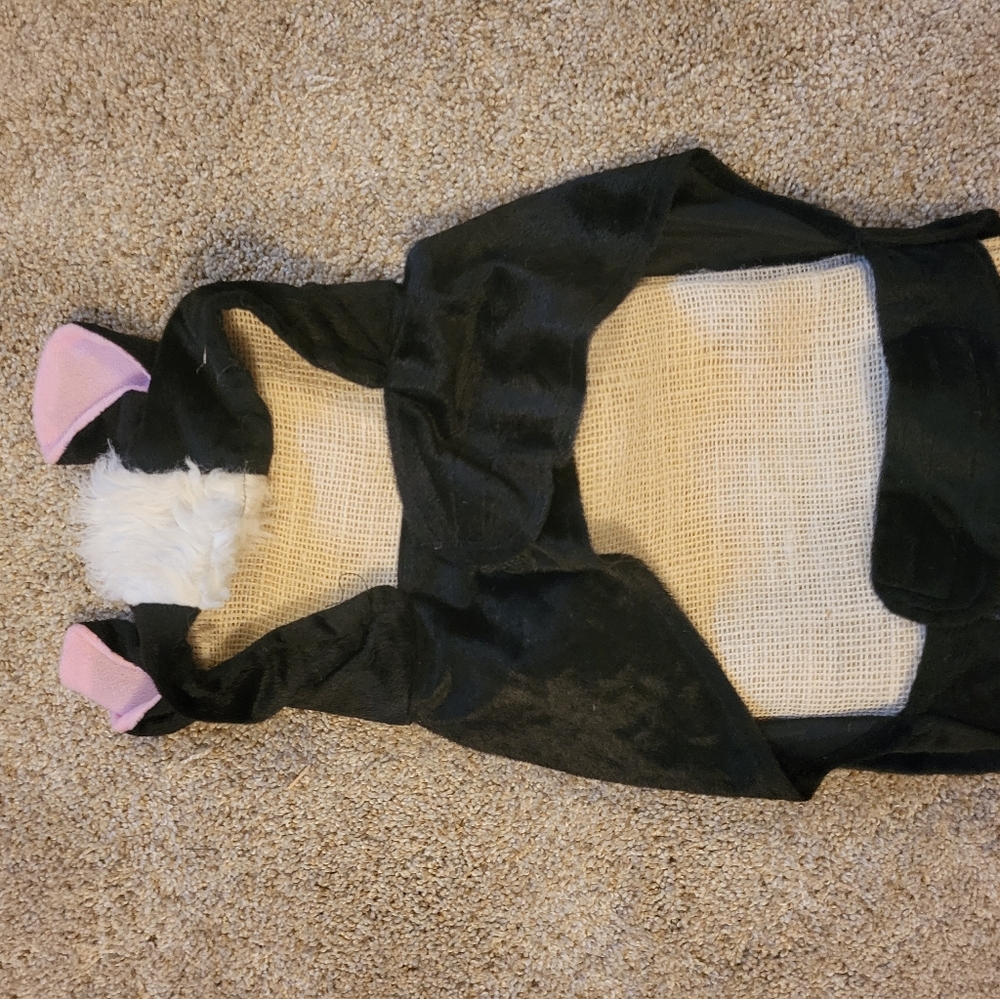 Large Dog Costumes - Picture 5 of 5
